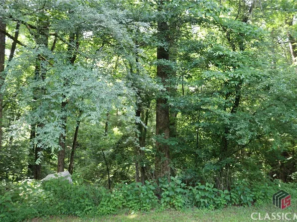0 Wire Bridge Road, Arnoldsville, GA 30619