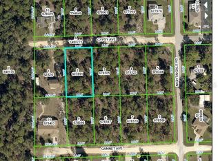 Gypsy Ave, Weeki wachee, FL 34613