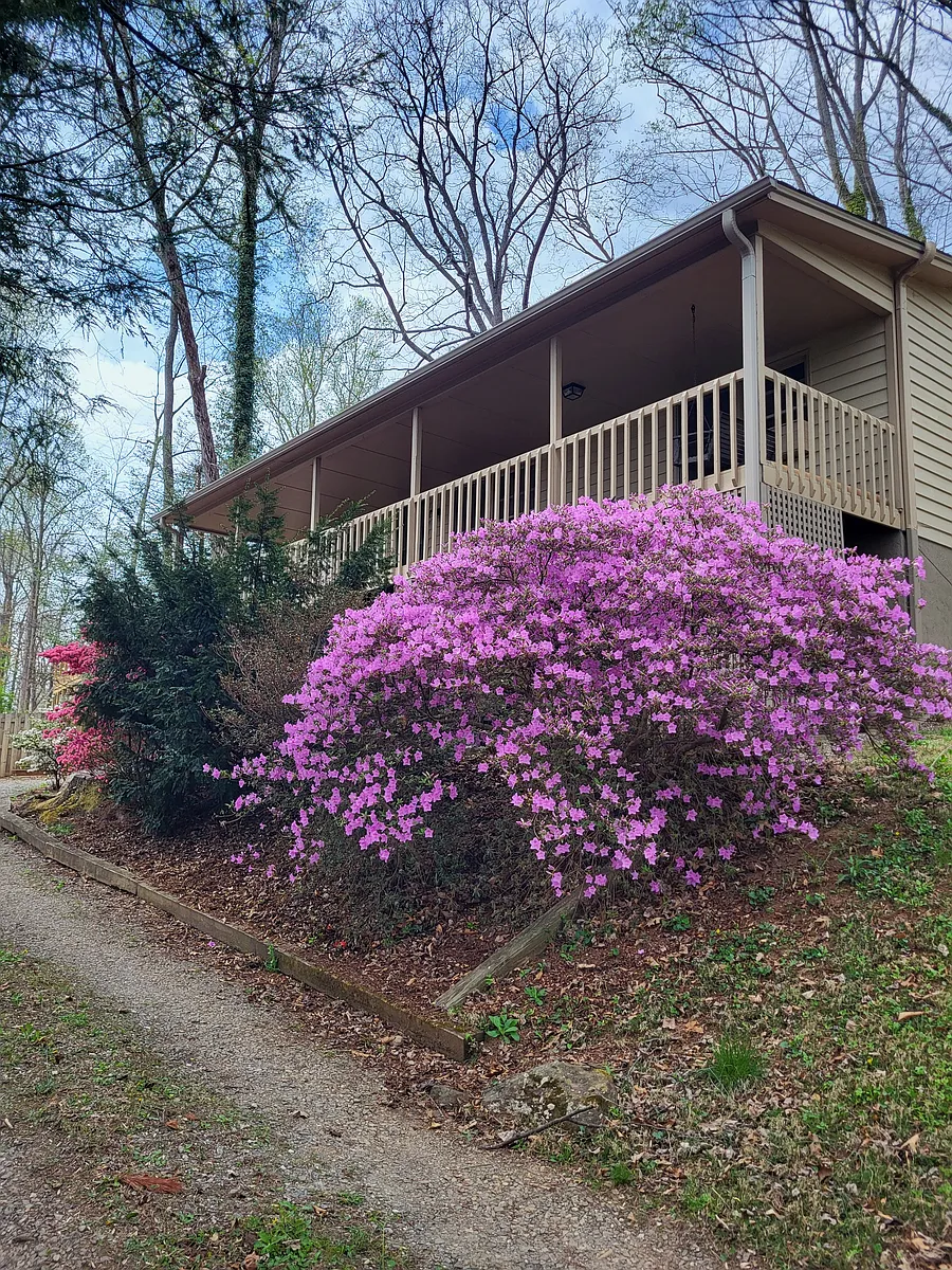 Building Photo - 95 Woodland Dr