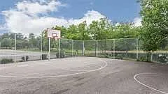 Basketball court