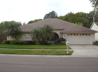18329 Cypress Stand Circle, Tampa, FL 33647