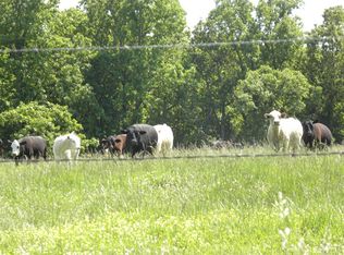 824 Lamb Rd, Pocahontas, AR 72455