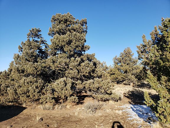 2nd image of 1400 Golden View Rnch