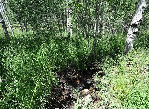 5th image of 9911 Deer Creek Dr