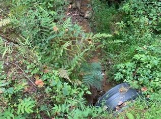 0 Blessed Valley Ln, Mill Spring, NC 28756