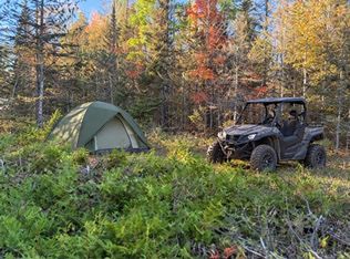 E Ruhamaki Rd, Drummond Island, MI 49726