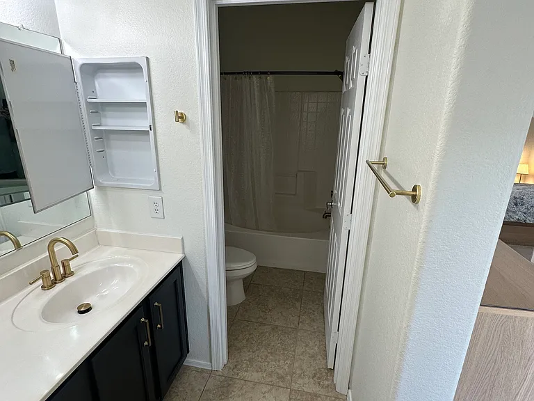 2725 E Mine Creek Rd #1080 — Photo 45