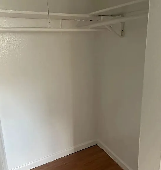 591 Branard St — Photo 5