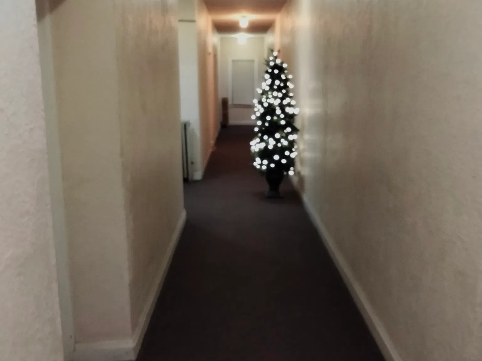 2 bed, 700 sqft, $875 — Photo 1