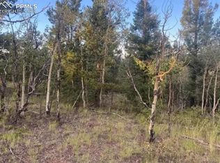 224 Dead Wood Rd, Cripple Creek, CO 80813