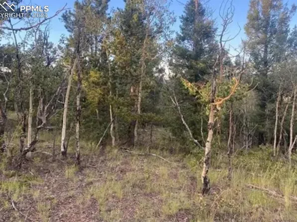 224 Dead Wood Rd, Cripple Creek, CO 80813