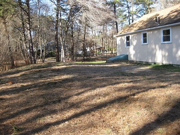 Back yard