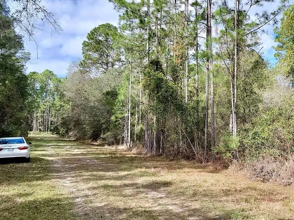 114 Northeast Ct, Georgetown, FL 32139