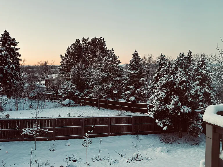 View from deck