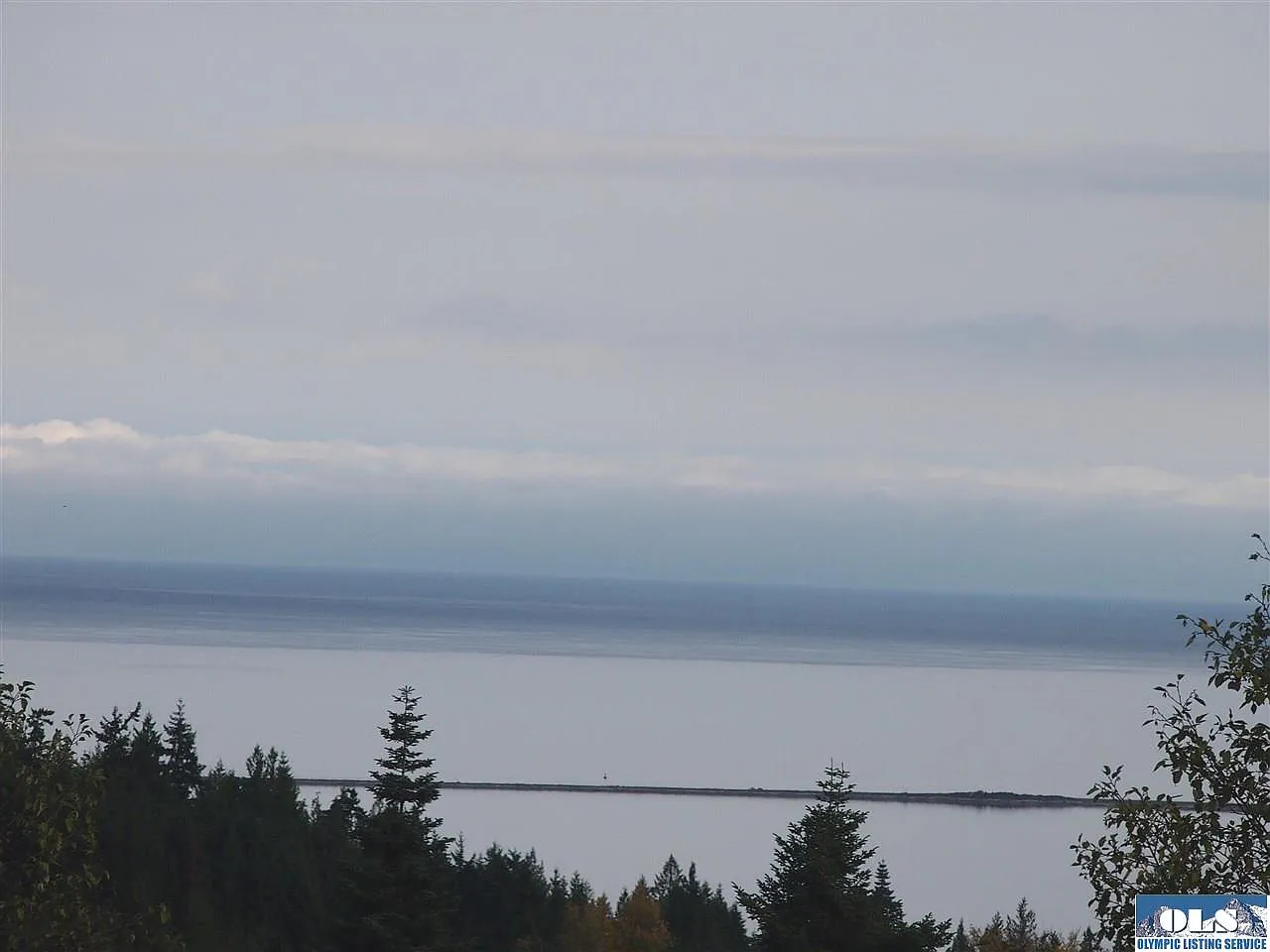 111 Louella Ridge Dr photo 1