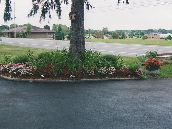 Driveway and garden