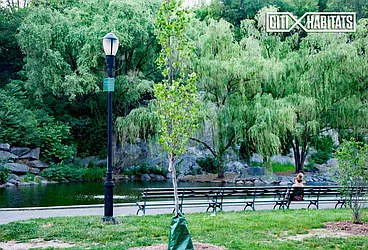 Rented by Citi Habitats