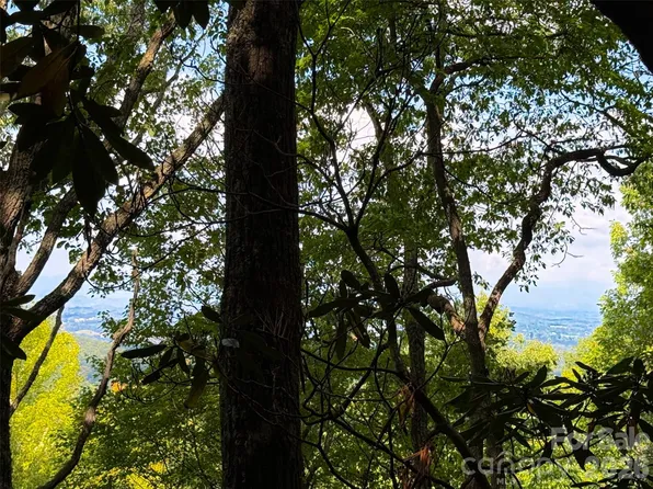 99999 High Top Mountain Rd Lot 3, Leicester, NC 28748