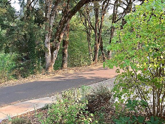 View from front porch.