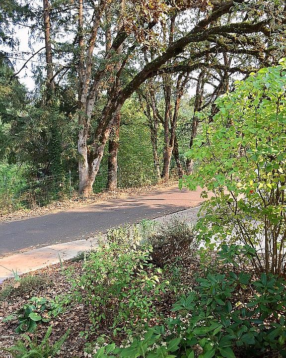 View from front porch.