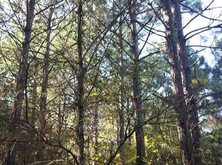 000 Spring Street, Ola, AR 72853