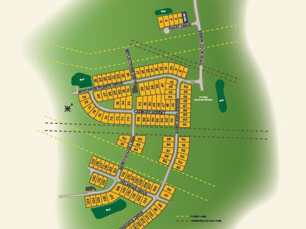 Blair Plan, Whitaker Pointe