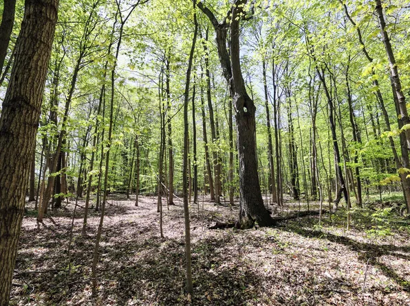 59385 Benny Ct #2, Grand Junction, MI 49056