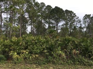 1137 Jason St, Lake Placid, FL 33852