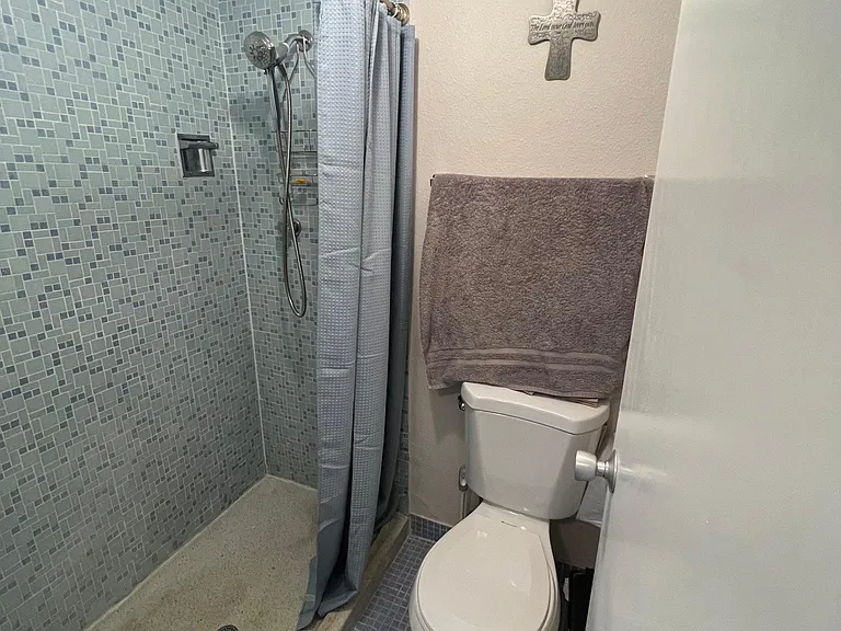 Primary bath and shower