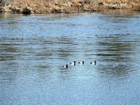 Sprague River Rd, Chiloquin, OR 97624