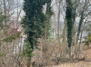 50 Overlook Cir, Moneta, VA 24121