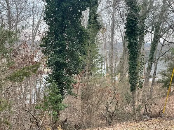 Lots 49/50 Overlook Cir, Moneta, VA 24121