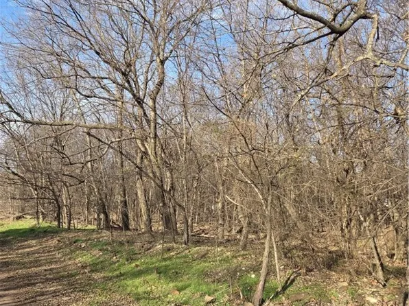 10537 Roundhill Rd, Lincoln, AR 72744