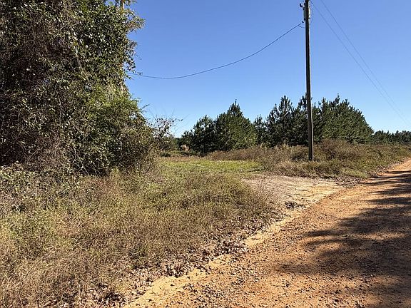3rd image of 20.17 Ac Roy Williams Rd