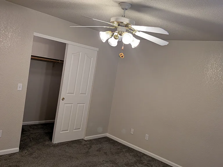 3604 Stingy Ln — Photo 8