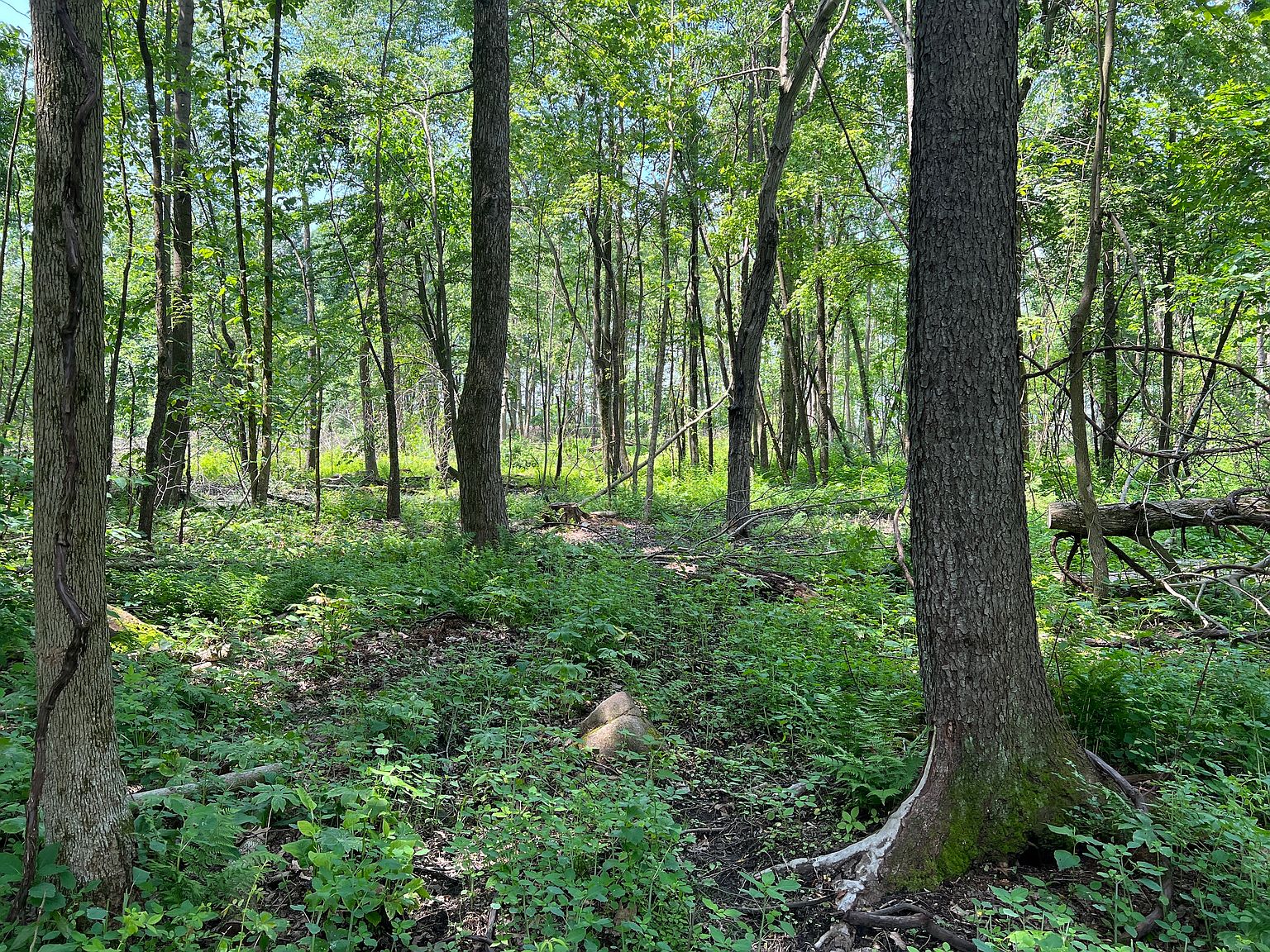 Waterloo Rd LOT WP001, Polk, PA 16342 Zillow