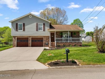 7709 Branford Ct, Powell, TN, 37849
