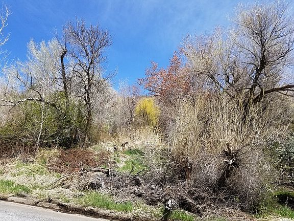 5th image of 2610 Woodland Dr