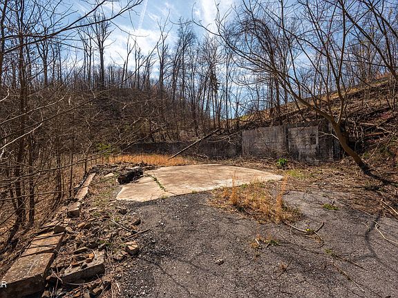 4th image of 460 Forrest Springs Dr