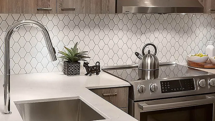 Rented by Dream Space Realty | media 13