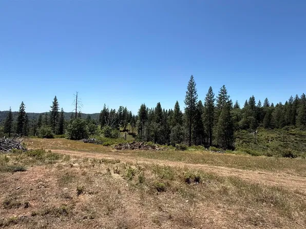 371 Blossom Ln, Rail Road Flat, CA 95248