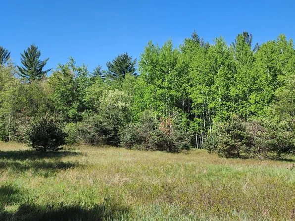 8973 Morningstar Lake Rd, Atlanta, MI 49709
