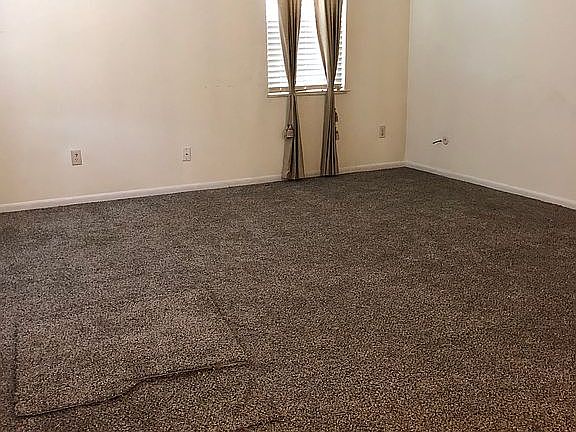 Living Room new carpet 4/24