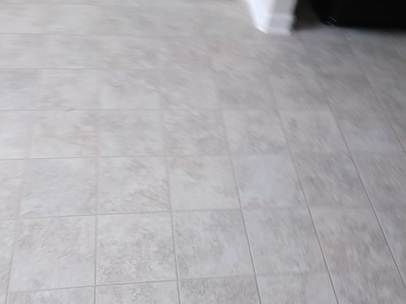 Vinyl Flooring in Kitchen