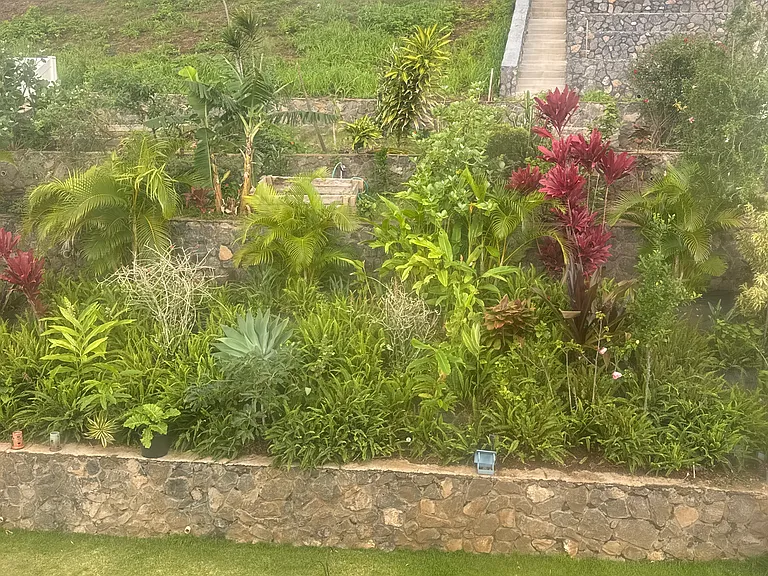 21 Palaa Pl — Photo 15