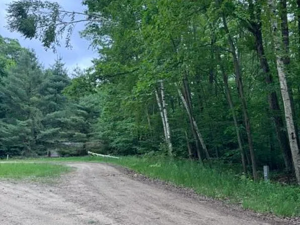 114 Bluff Rd, Leroy, MI 49655