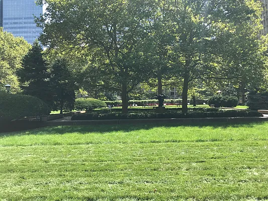 Rented by JSG Realty Corp | media 11