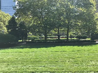 Rented by JSG Realty Corp