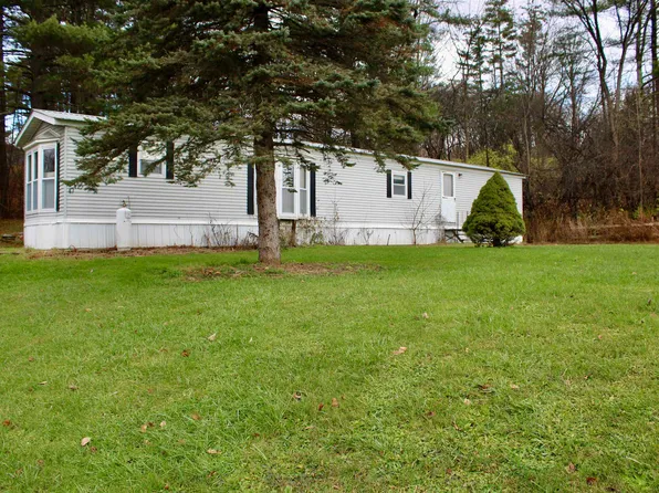 47 Steinberg Road, Brandon, VT 05733