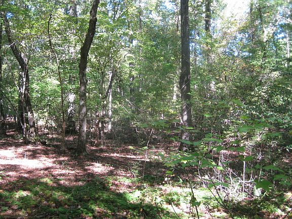 5th image of 443 Claude Bundrick Rd